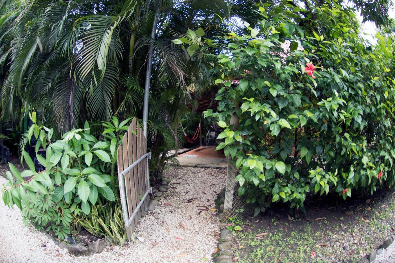 Disfrutalo Hotel Playa Santa Teresa  ภายนอก รูปภาพ